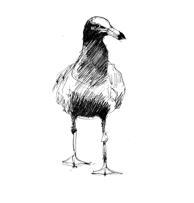 Original Figurative Animal Printmaking by Claudio Javier Feldman Pincas