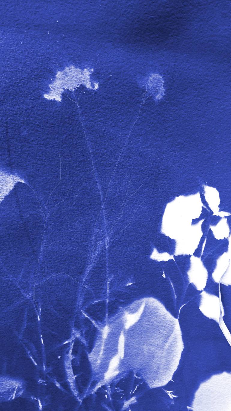 Original Figurative Botanic Painting by Claudio Javier Feldman Pincas