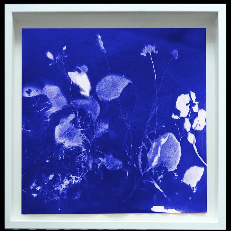 Original Figurative Botanic Painting by Claudio Javier Feldman Pincas