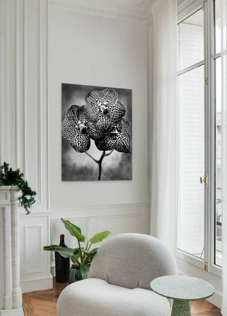 Original Fine Art Floral Photography by REISIG AND TAYLOR