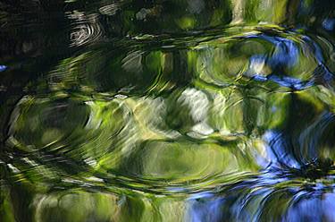 Green water swirl thumb