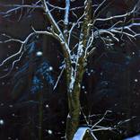 The Beginning of Winter by Alexander Heaton