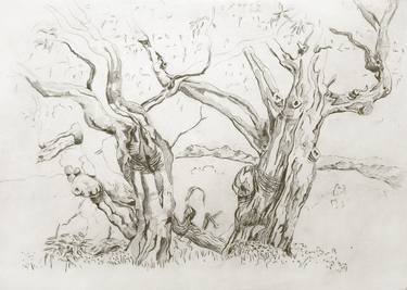 Original Fine Art Tree Drawings by Peter Menne