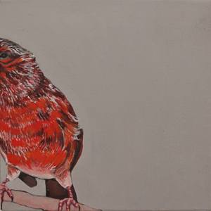 Canary VII, 3