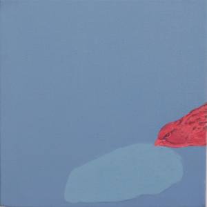 canary VII, 4