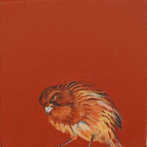Canary VII, 5