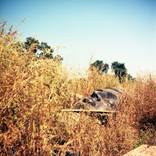 Collection Fresh Perspectives: New Photography