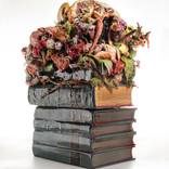 Books from Kyiv apartment (Tchekhov) by Fedora Akimova
