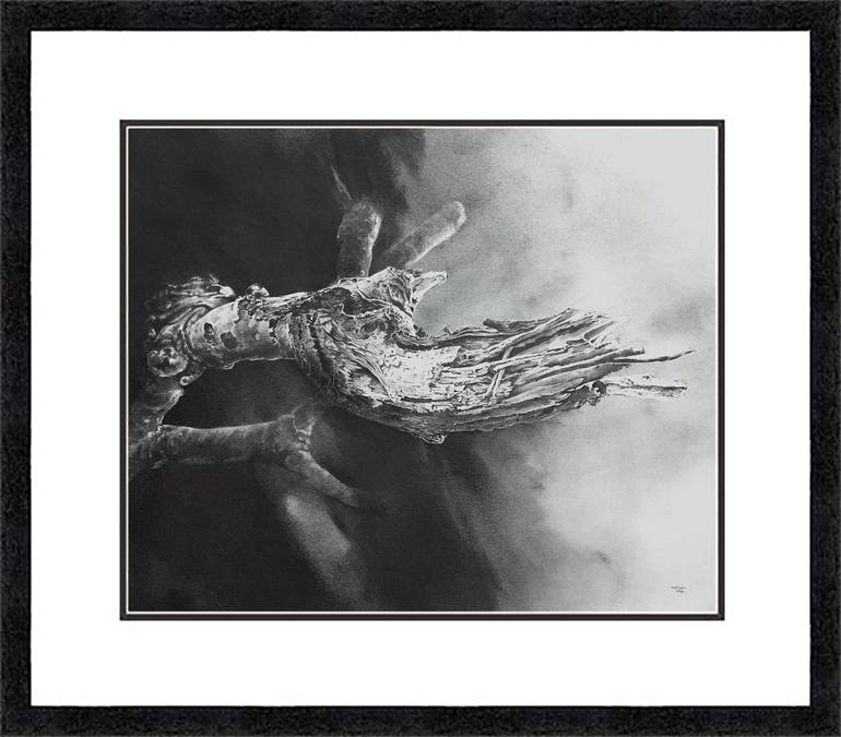 Original Realism Nature Drawing by Neil Dixon