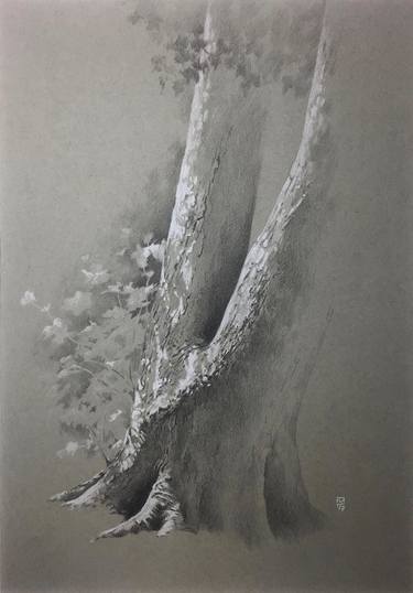 Saatchi Art Artist Neil Dixon; Drawings, “Ellington Tree #9” #art