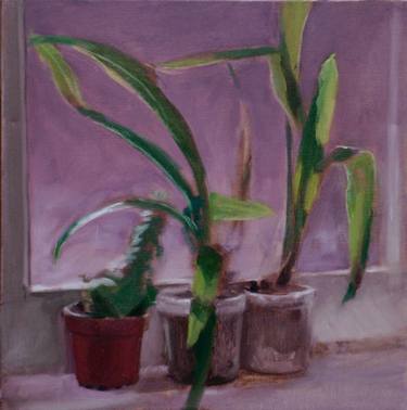 Original Still Life Painting by Inga Moore