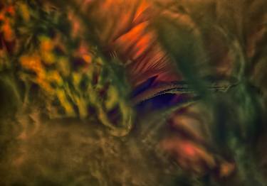 Original Abstract Expressionism Abstract Photography by Bob Witkowski