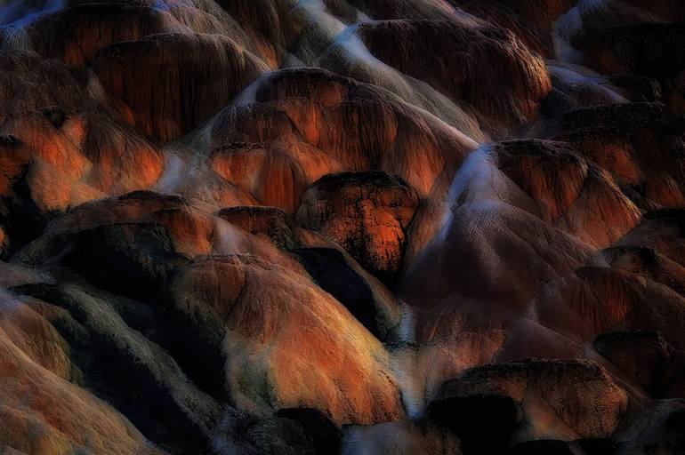 Original Abstract Nature Photography by Bob Witkowski
