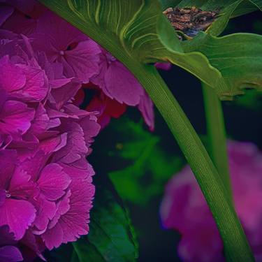 Original Realism Floral Photography by Bob Witkowski