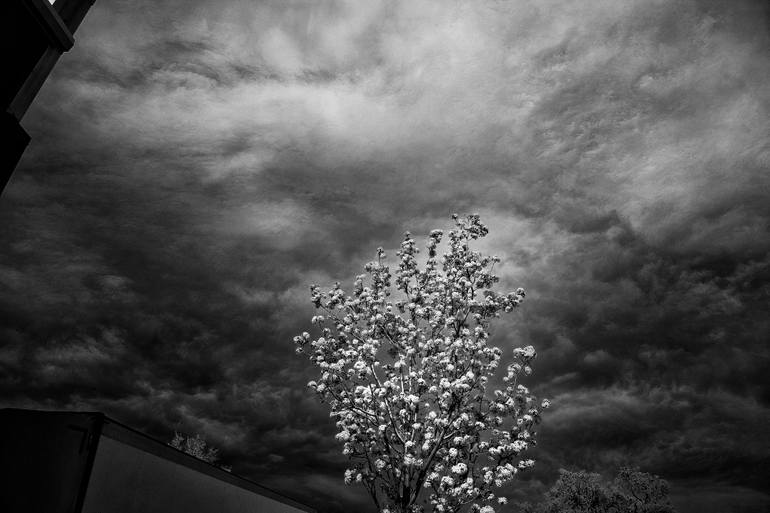 Original  Photography by bob witkowski