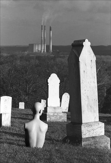 Original Fine Art Mortality Photography by Bob Witkowski
