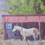 Collection Summer of Southern Travel: Spotlight on the American South