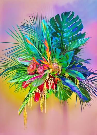 Original Floral Photography by Javiera Estrada