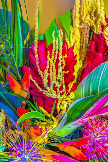 Tropical Nights thumb