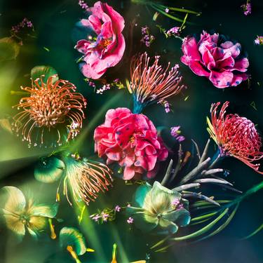 Original Contemporary Floral Photography by Javiera Estrada