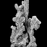 Collection Black & White Photography