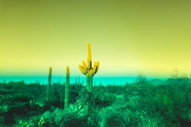 Original Conceptual Landscape Photography by Javiera Estrada