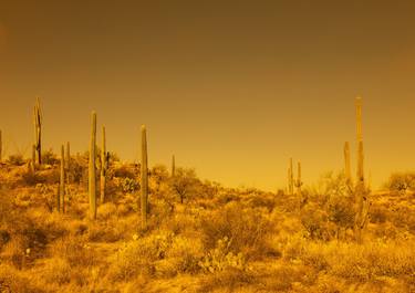 Original Contemporary Landscape Photography by Javiera Estrada