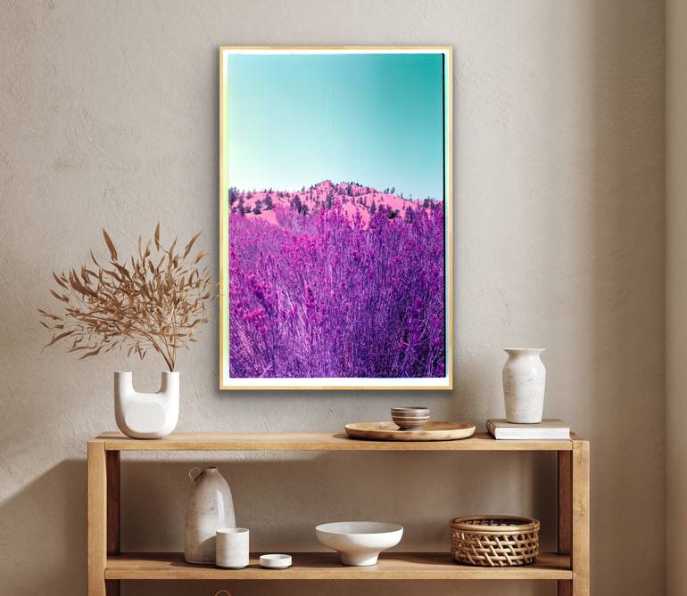 Original Contemporary Landscape Photography by Javiera Estrada