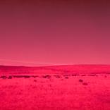 Virtual Reality by Javiera Estrada