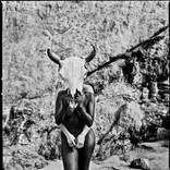 Collection Living With Art: Sarah Chitsaz