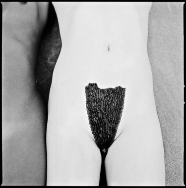 Original Portraiture Nude Photography by Javiera Estrada