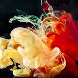 Collection Jamie Yang