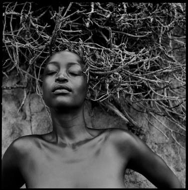 Saatchi Art Artist Javiera Estrada; Photography, “May the Winds Blow till they have Wakened Death” #art