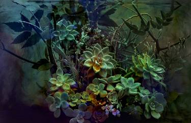 Original Conceptual Floral Photography by Javiera Estrada