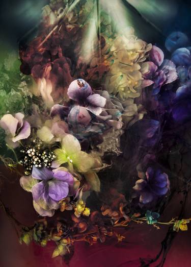 Original Abstract Floral Photography by Javiera Estrada