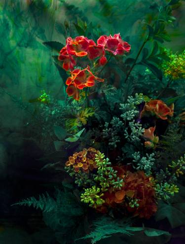 Original Floral Photography by Javiera Estrada