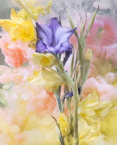 Original Abstract Floral Photography by Javiera Estrada