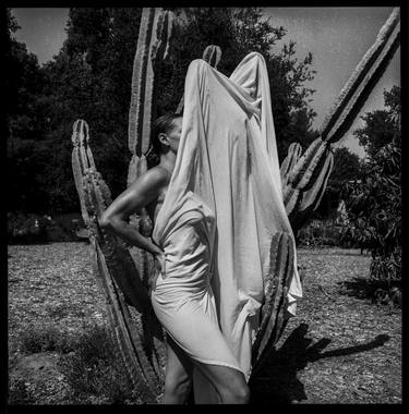 Saatchi Art Artist Javiera Estrada; Photography, “Cactus Nights - Limited Edition of 5” #art