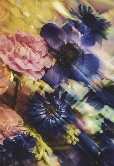 Original Abstract Floral Photography by Javiera Estrada