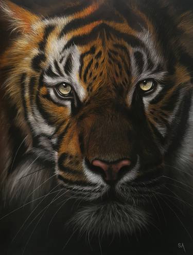 Tiger 🐅 in 2023  Animal portraits art, Big cats art, Tiger artwork