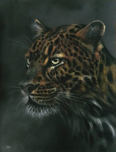 Original Fine Art Animal Paintings by Sean Afford