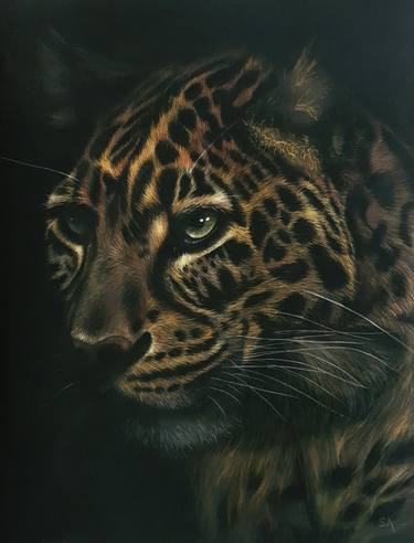 Original Fine Art Animal Paintings by Sean Afford