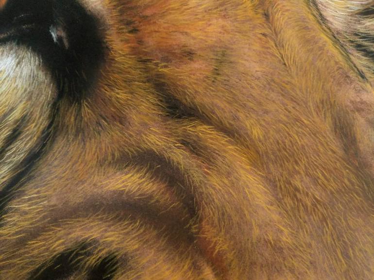 Original Photorealism Animal Painting by Sean Afford