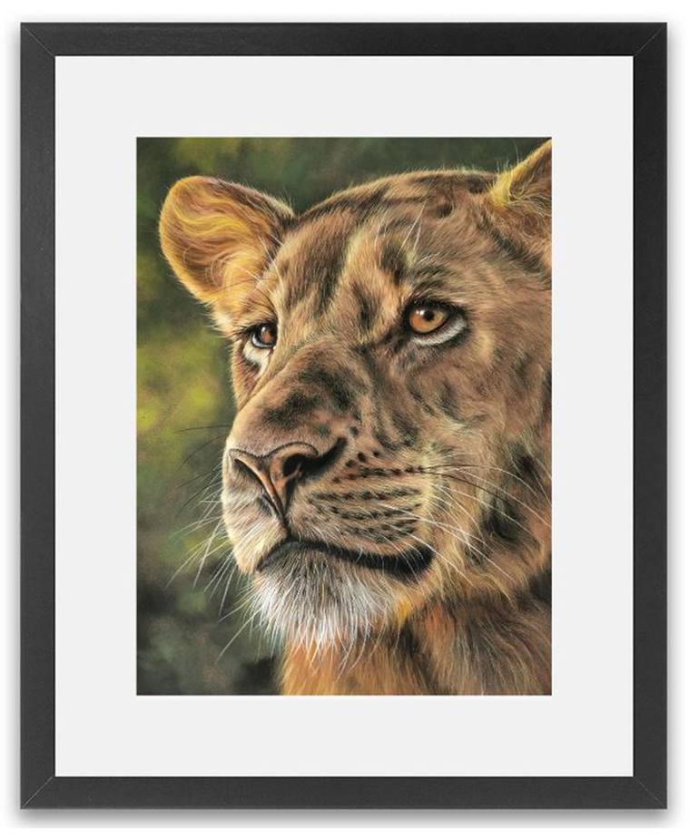 Original Photorealism Animal Painting by Sean Afford