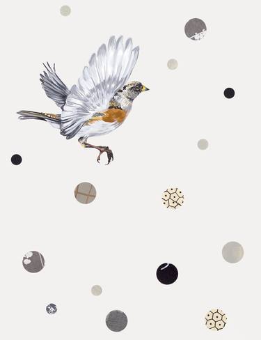Print of Conceptual Nature Drawings by Lauren Matsumoto