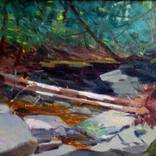 Collection Waterfalls of the Catskills