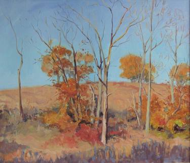 Original Landscape Paintings by Judith Reeve