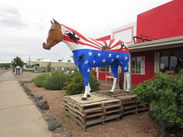 4th Of July Horse thumb