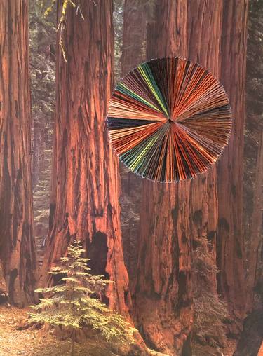 Print of Modern Nature Collage by Natalie Ciccoricco