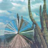 Cactus Retreat by Natalie Ciccoricco